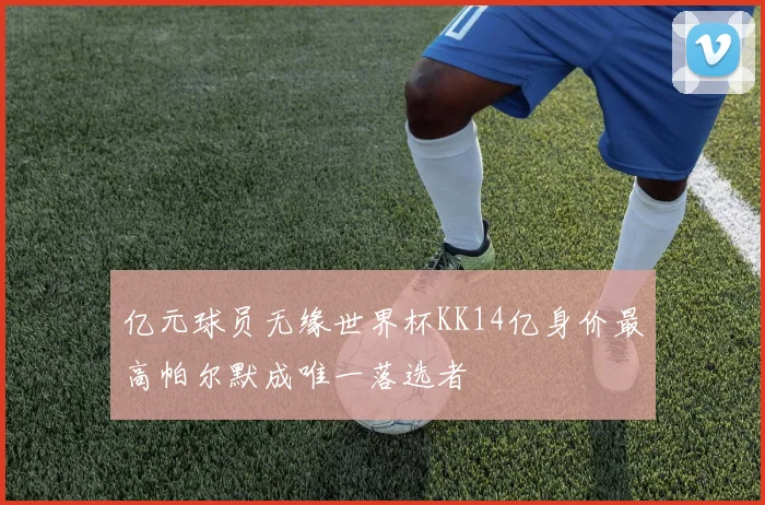亿元球员无缘世界杯KK14亿身价最高帕尔默成唯一落选者